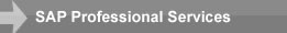 SAP Professional Services